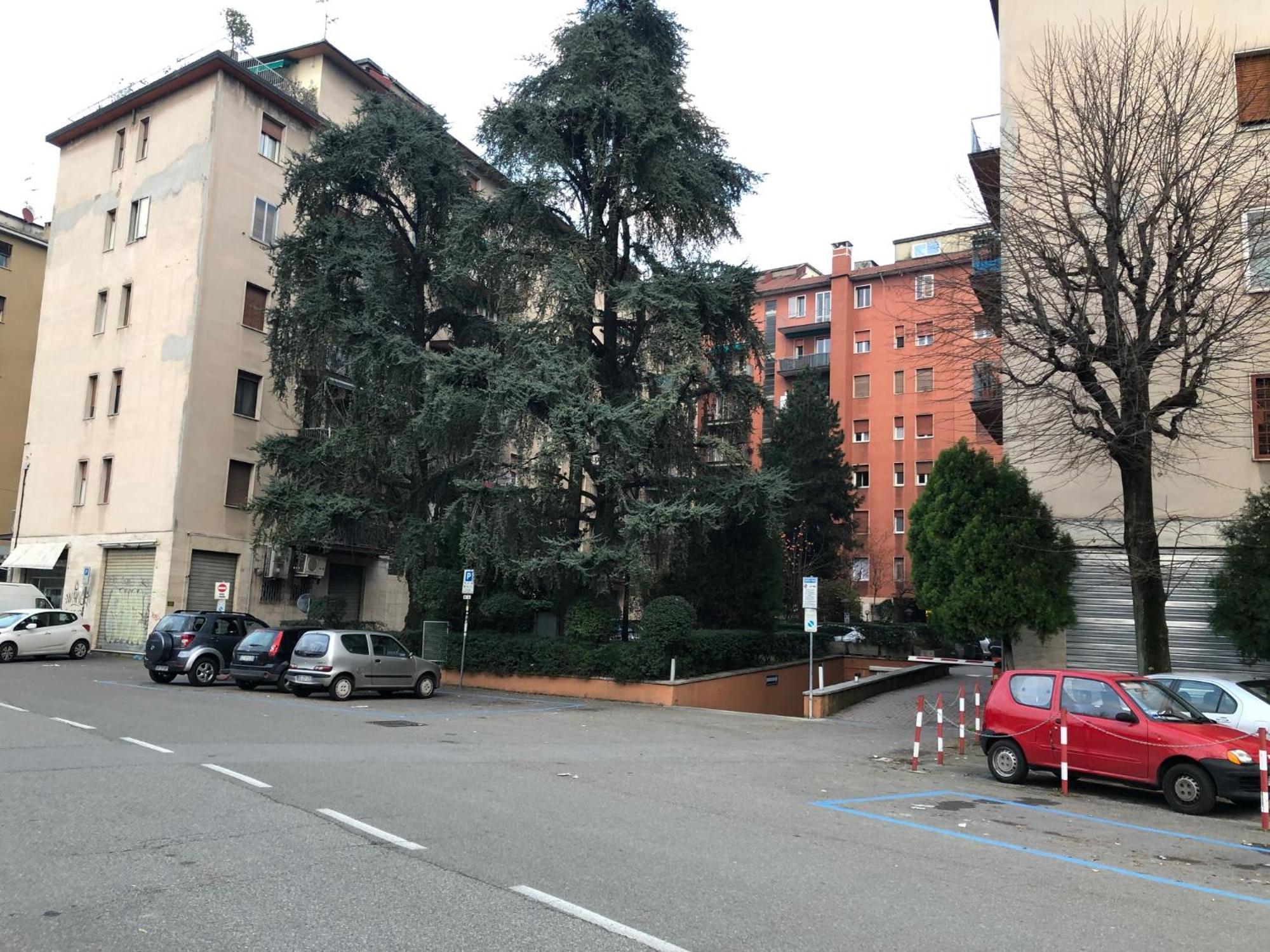 Tra Le Torri B&B - Ampia Stanza Privata In Appartamento Con Bagno Privato Accessibile Da Corridoio Bolonya Dış mekan fotoğraf